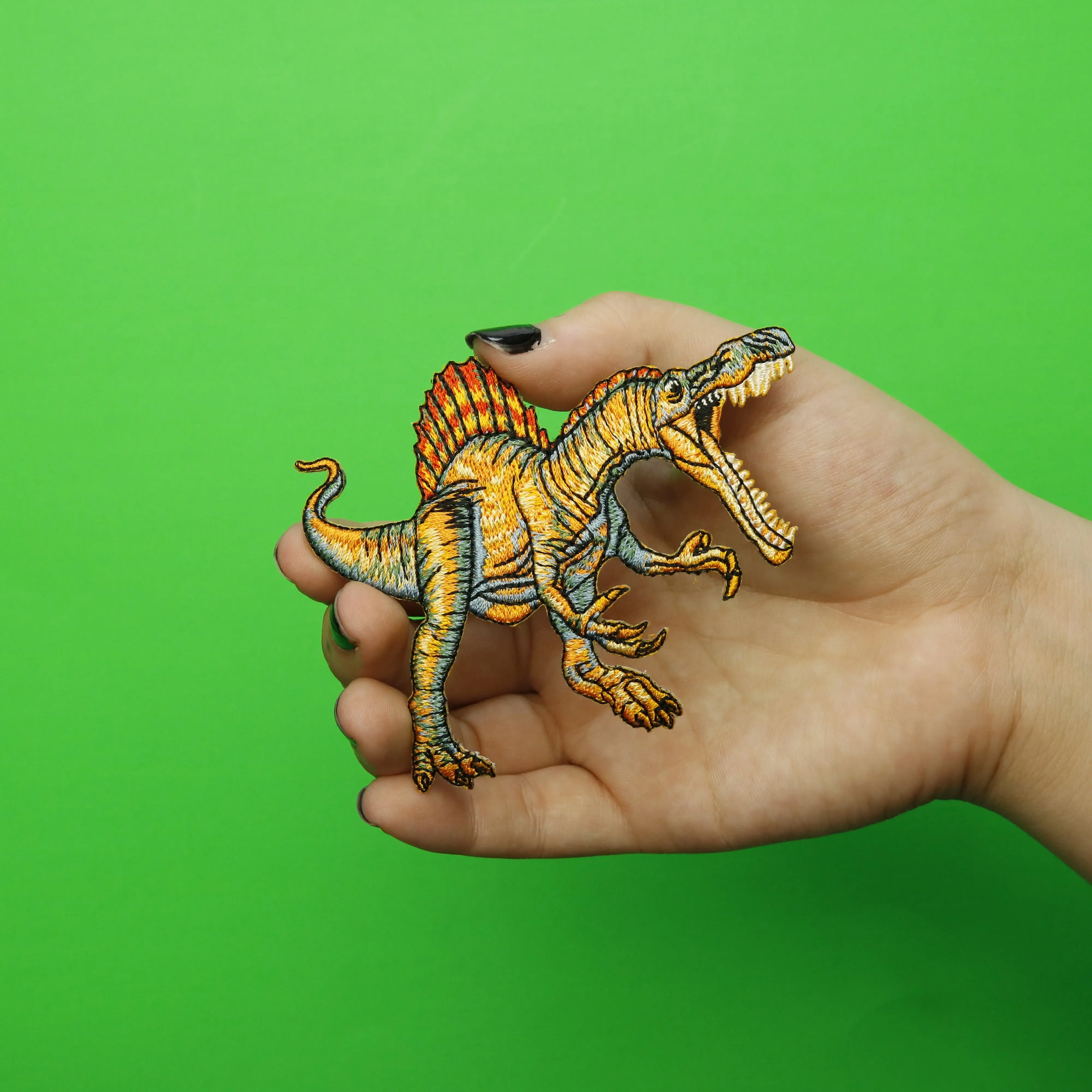 Thumbnail 2